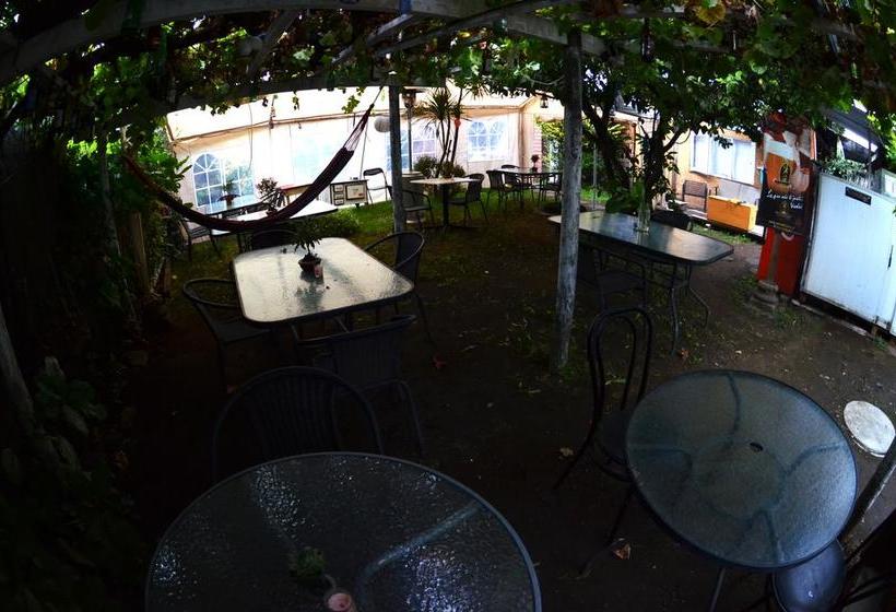 Hostel Patacon | Pucon | Araucanía | Chile 7