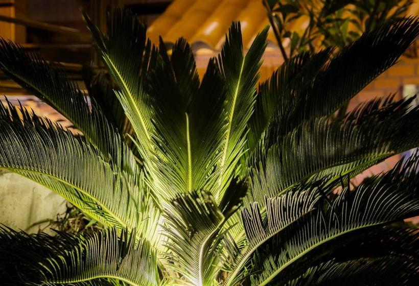 Hotel Sumaj Casa | Tarapoto | San Martín | Perú 12