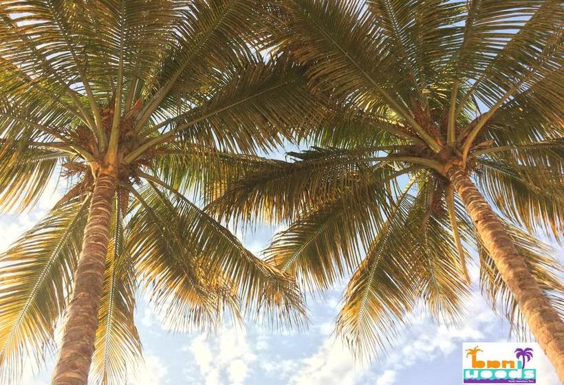 Madwoods Hostel | Huanchaco | Trujillo | Perú 15