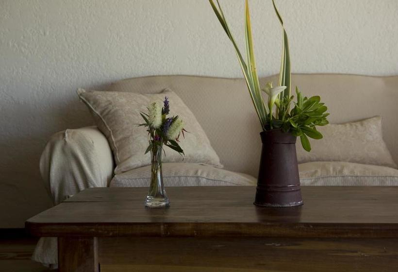 Hotel Complejo Turístico Flores | Trinidad | Flores | Uruguay 16