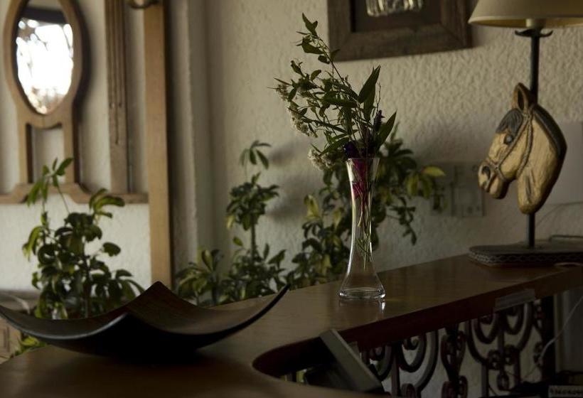 Hotel Complejo Turístico Flores | Trinidad | Flores | Uruguay 17