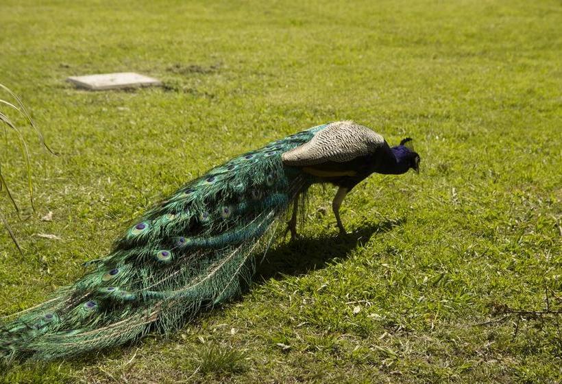 Hotel Complejo Turístico Flores | Trinidad | Flores | Uruguay 20
