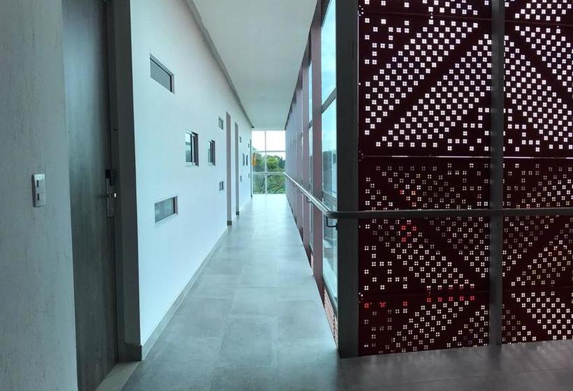 Hotel San Antonio Plaza Apartado | Apartadó | Antioquia | Colombia 5