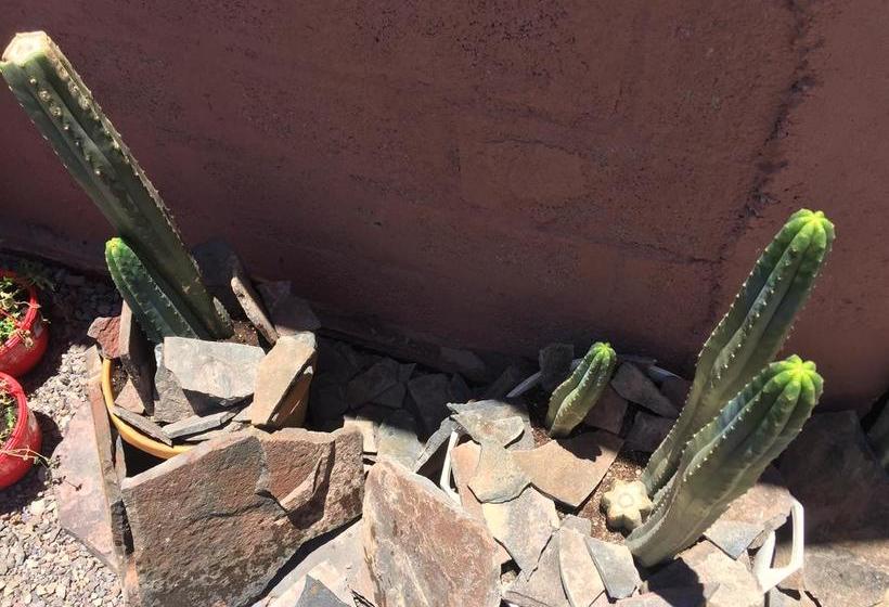 Hotel Casa Algarrobo | San Pedro de Atacama | Antofagasta | Chile 14