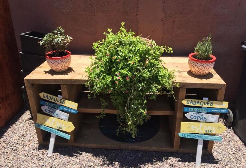 Hotel Casa Algarrobo | San Pedro de Atacama | Antofagasta | Chile 15