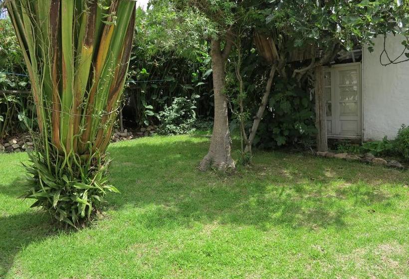 Albergue Hostal La Cazihita | Sogamoso | Boyaca | Colombia 19