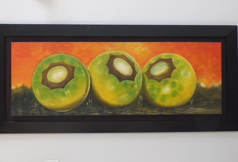 Bed and Breakfast La Casa Del Mangostino | Cali | Valle del Cauca | Colombia 14