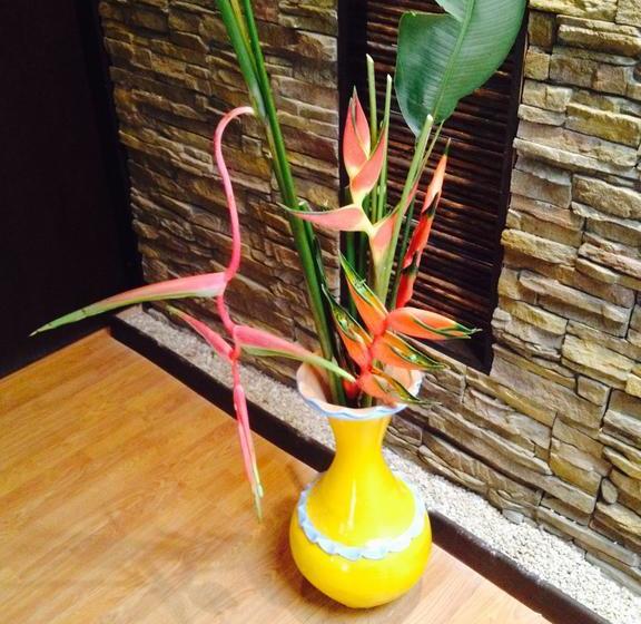 Bed and Breakfast Chill Out Salento | Salento | Quindío | Colombia 6