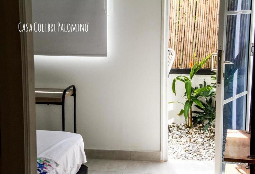 Hotel Casa Colibri Palomino | Palomino | La Guajira | Colombia 11