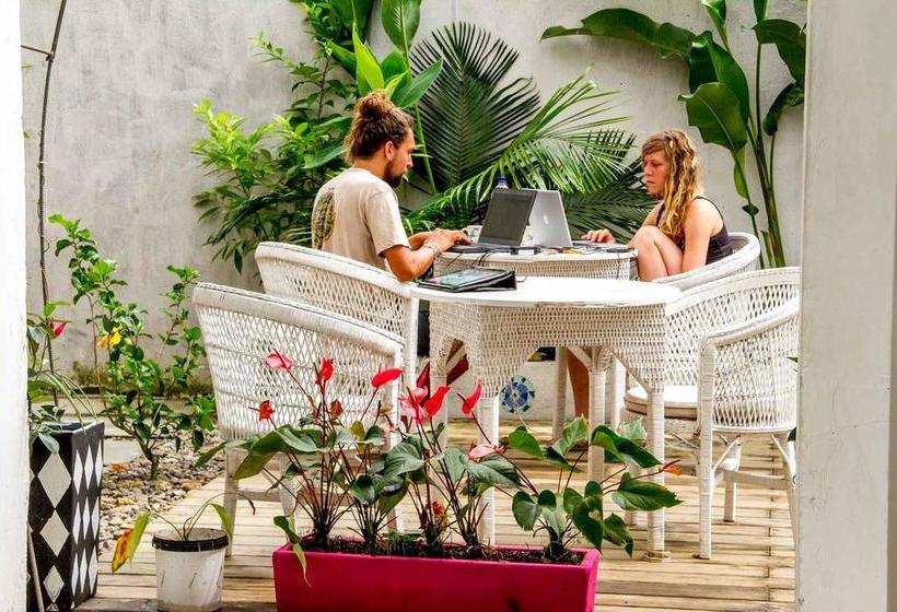 Hotel Casa Colibri Palomino | Palomino | La Guajira | Colombia 17