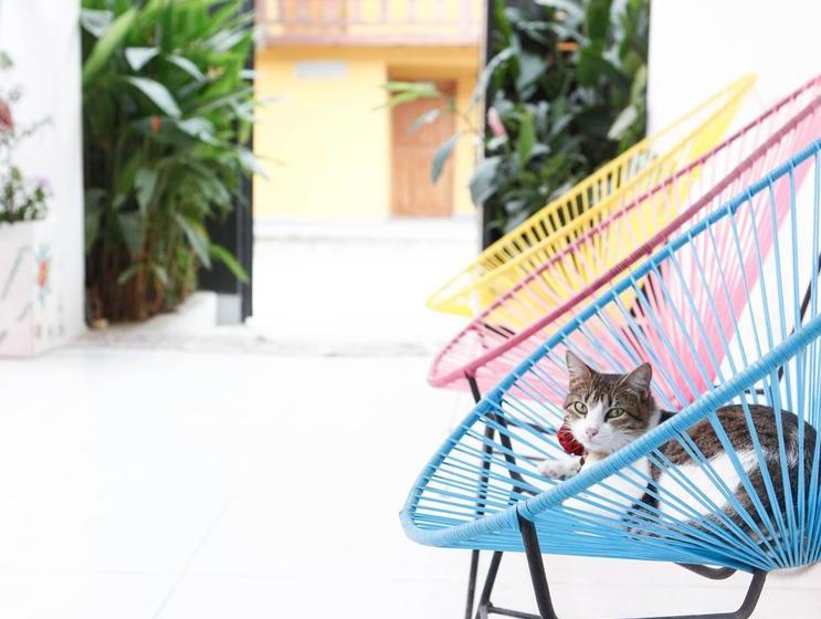 Hotel Casa Colibri Palomino | Palomino | La Guajira | Colombia 19