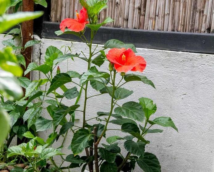 Hotel Casa Colibri Palomino | Palomino | La Guajira | Colombia 20