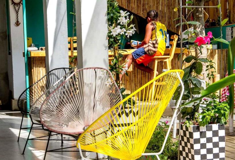 Hotel Casa Colibri Palomino | Palomino | La Guajira | Colombia 7