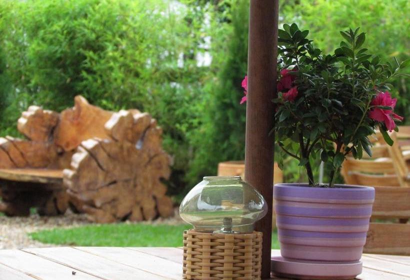 Hotel Salento Plaza | Salento | Quindío | Colombia 4