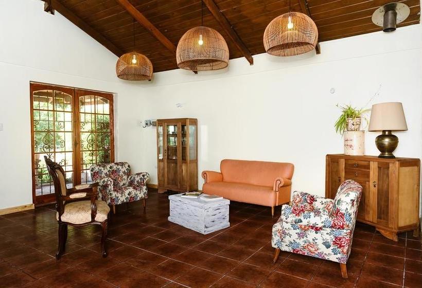 Hotel Hoja De Parra | Santa Cruz | O'Higgins | Chile 10