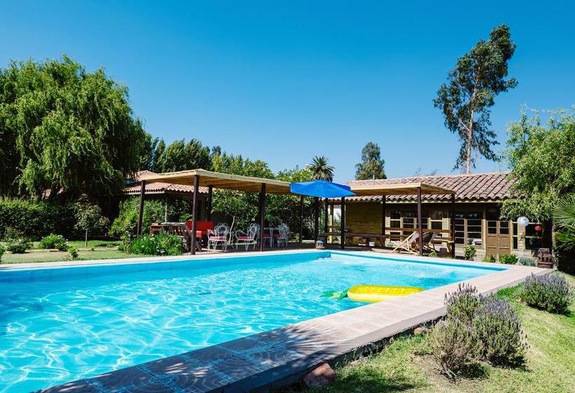 Hotel Hoja De Parra | Santa Cruz | O'Higgins | Chile 11