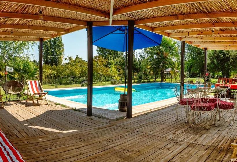 Hotel Hoja De Parra | Santa Cruz | O'Higgins | Chile 12