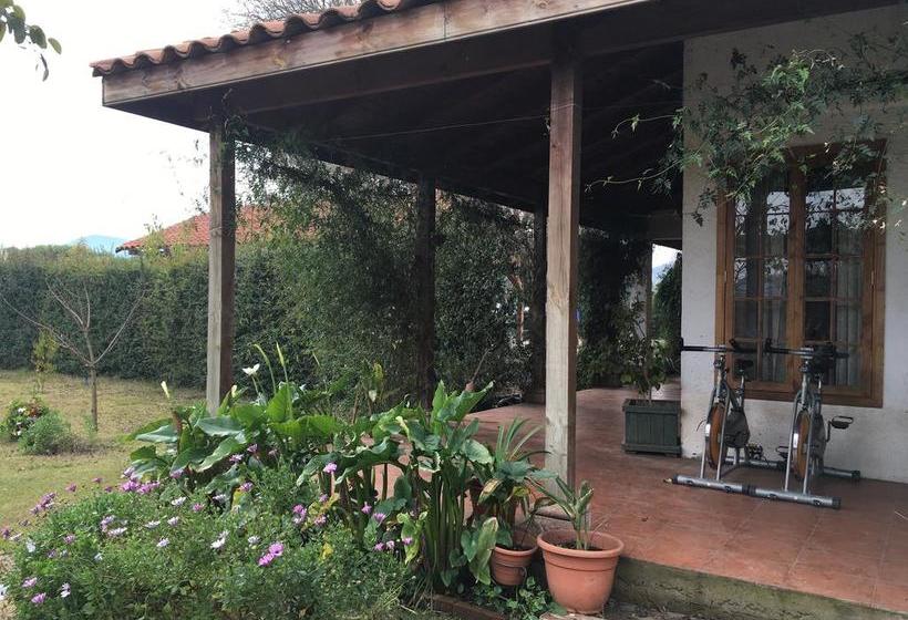 Hotel Hoja De Parra | Santa Cruz | O'Higgins | Chile 13