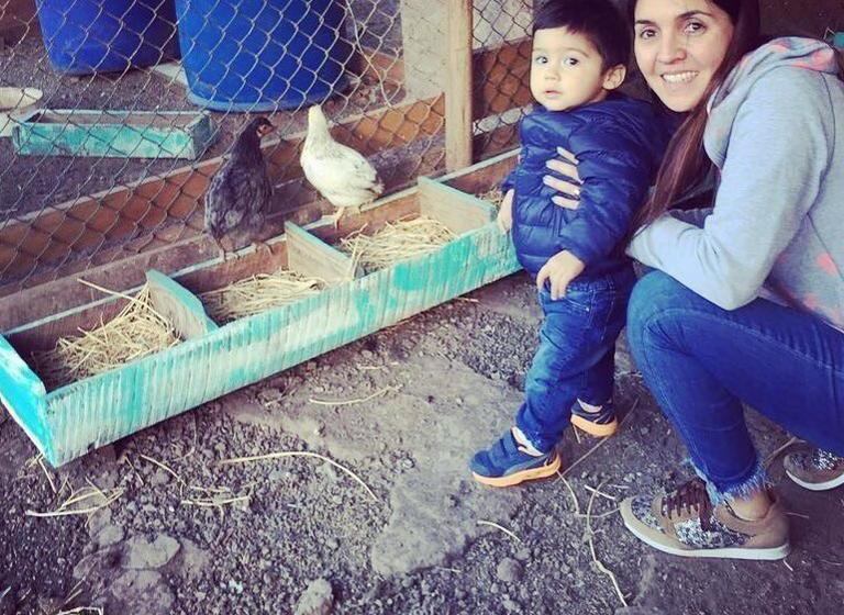 Hotel Hoja De Parra | Santa Cruz | O'Higgins | Chile 15