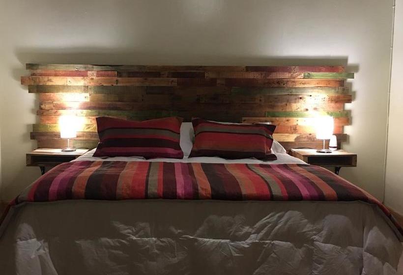 Hotel Hoja De Parra | Santa Cruz | O'Higgins | Chile 4