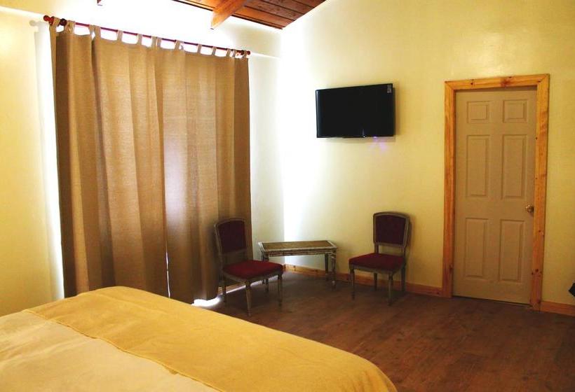 Hotel Hoja De Parra | Santa Cruz | O'Higgins | Chile 7