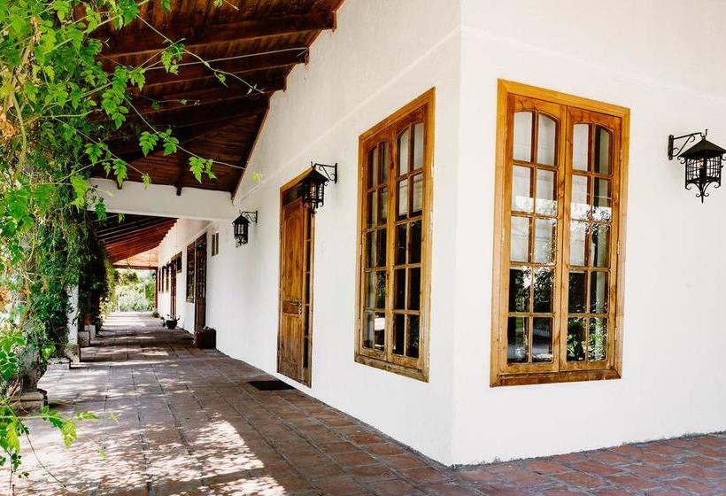 Hotel Hoja De Parra | Santa Cruz | O'Higgins | Chile 8