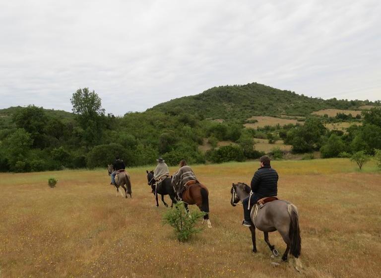 Hotel Boutique Quinta Maria | Santa Cruz | O'Higgins | Chile 12