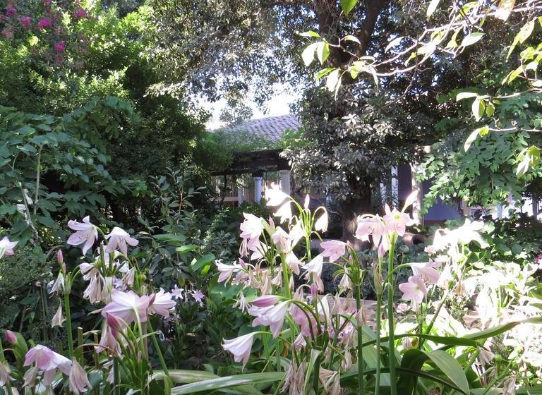 Hotel Boutique Quinta Maria | Santa Cruz | O'Higgins | Chile 13