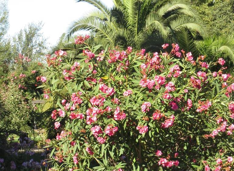 Hotel Boutique Quinta Maria | Santa Cruz | O'Higgins | Chile 15