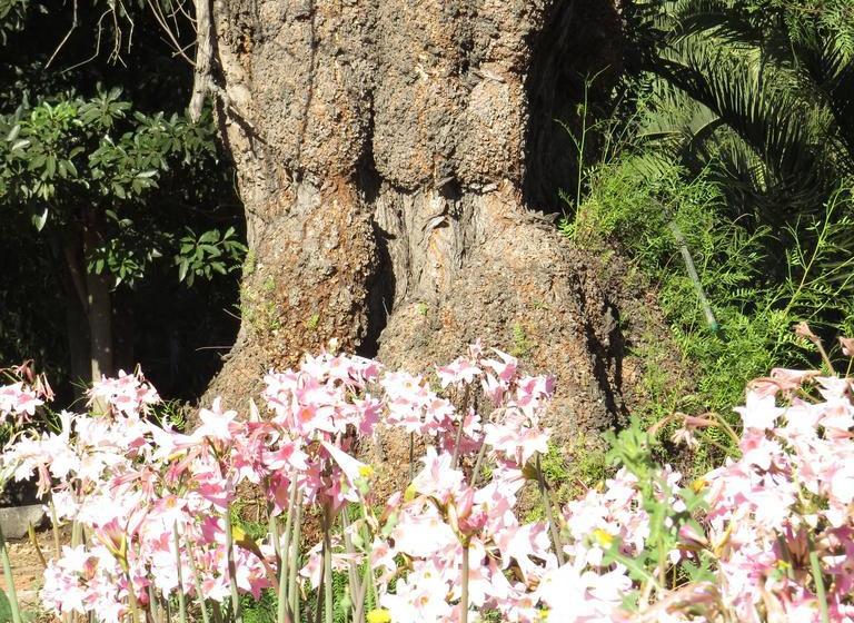 Hotel Boutique Quinta Maria | Santa Cruz | O'Higgins | Chile 16