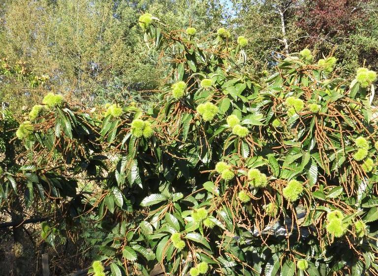 Hotel Boutique Quinta Maria | Santa Cruz | O'Higgins | Chile 18