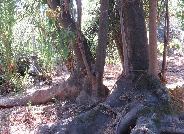 Hotel Boutique Quinta Maria | Santa Cruz | O'Higgins | Chile 19