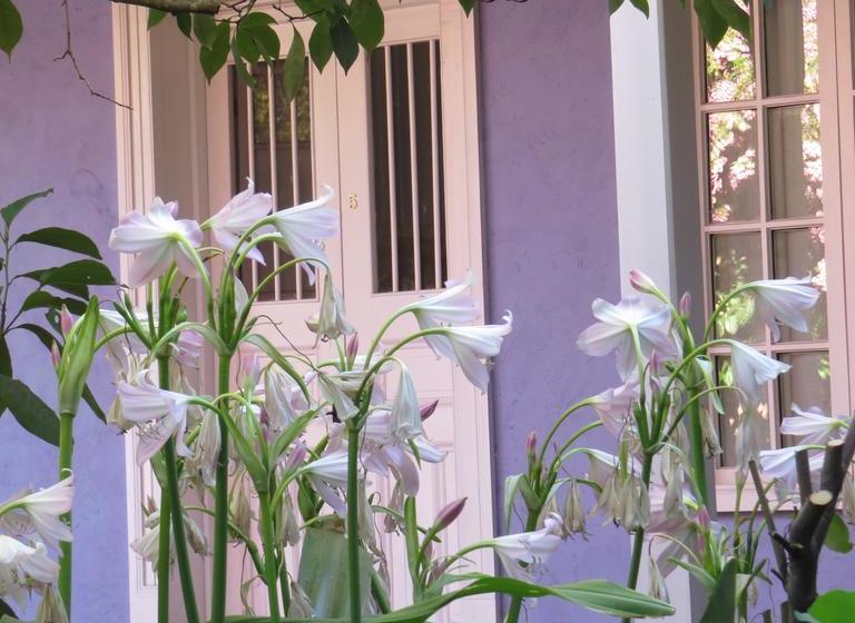 Hotel Boutique Quinta Maria | Santa Cruz | O'Higgins | Chile 6