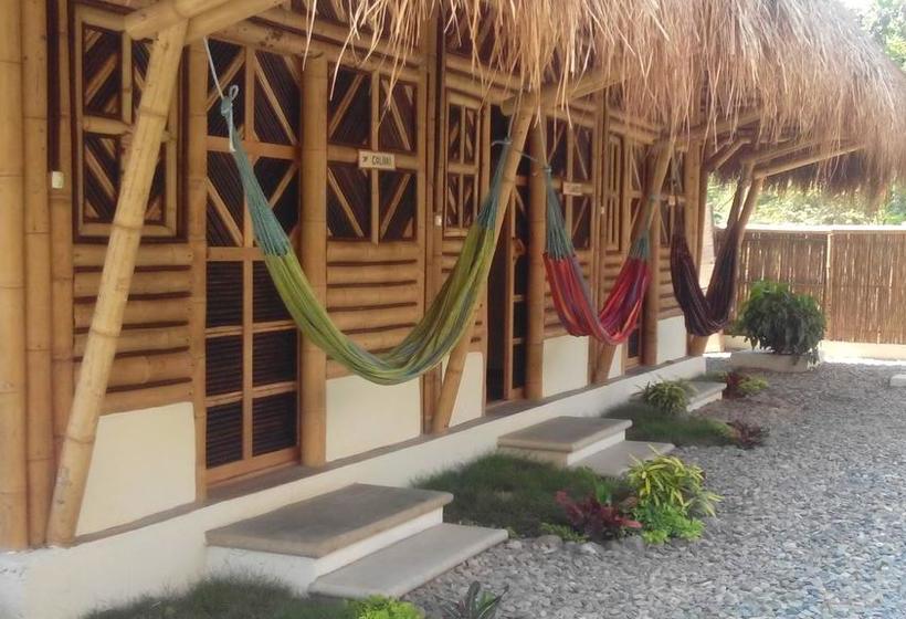 Coco Sänkala Hostel Palomino