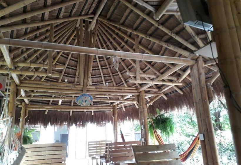 Coco Sänkala Hostel | Palomino | La Guajira | Colombia 5