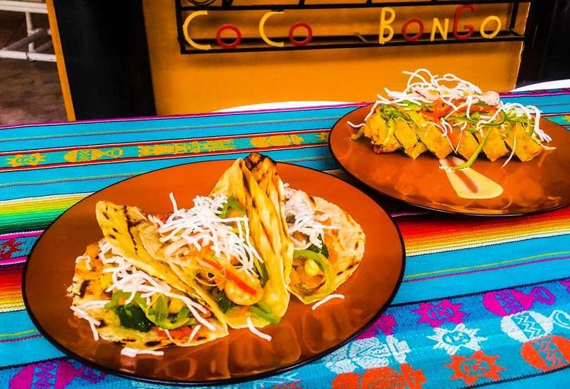 Coco Bongo Hostel | Bahia de Caraquez | Manabí | Ecuador 1