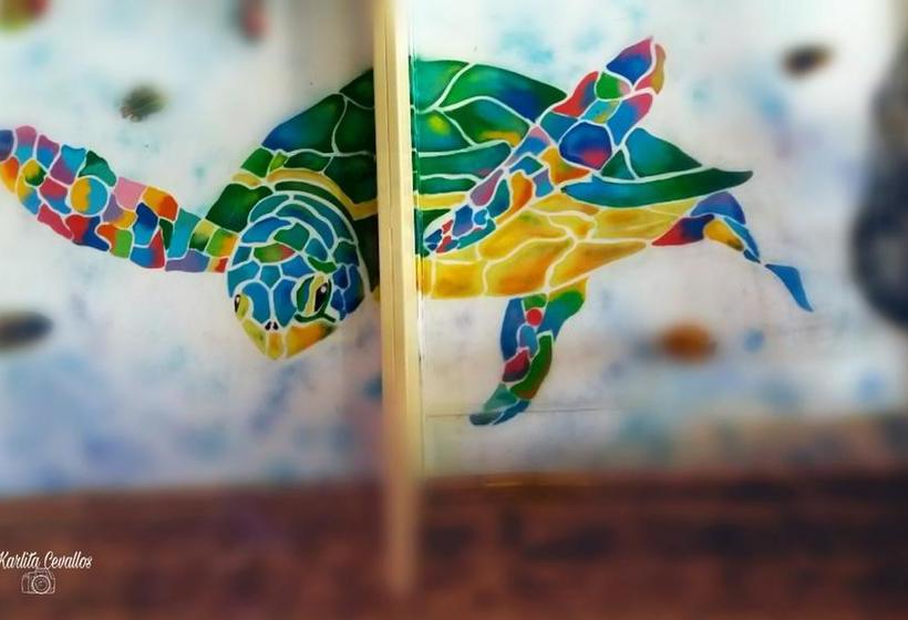 Coco Bongo Hostel | Bahia de Caraquez | Manabí | Ecuador 18