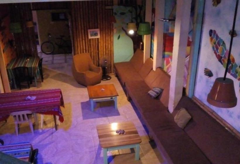 Coco Bongo Hostel | Bahia de Caraquez | Manabí | Ecuador 6