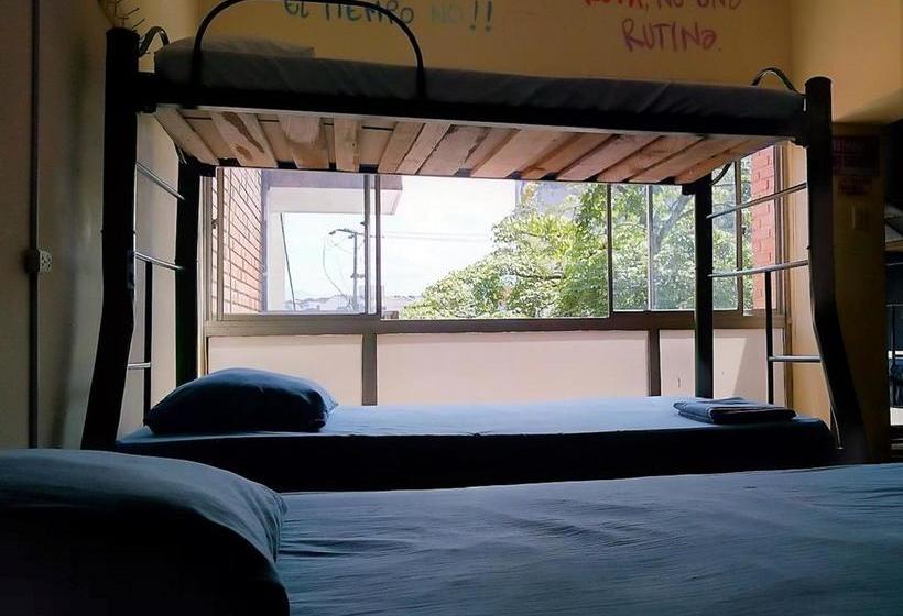 Hostel Coffee Town Pereira | Pereira | Risaralda | Colombia 2