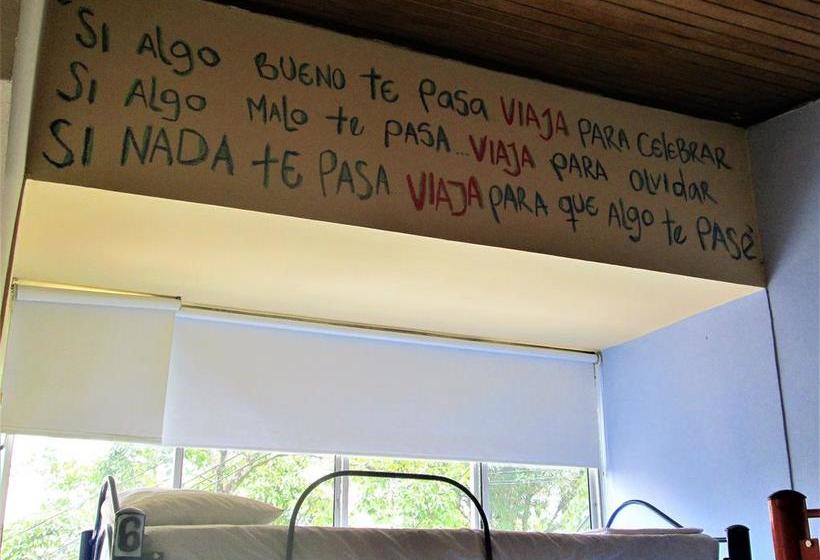 Hostel Coffee Town Pereira | Pereira | Risaralda | Colombia 3