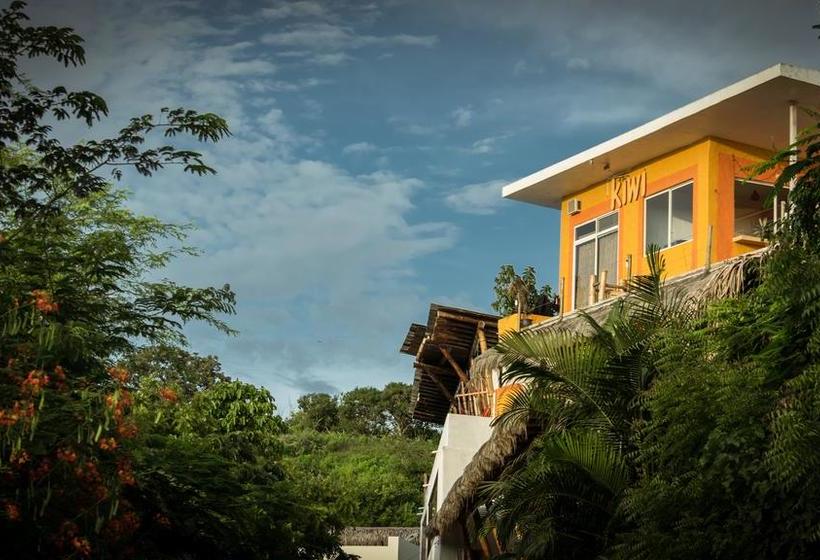 Kiwi Hostel Montanita | Montañita | Santa Elena | Ecuador 20