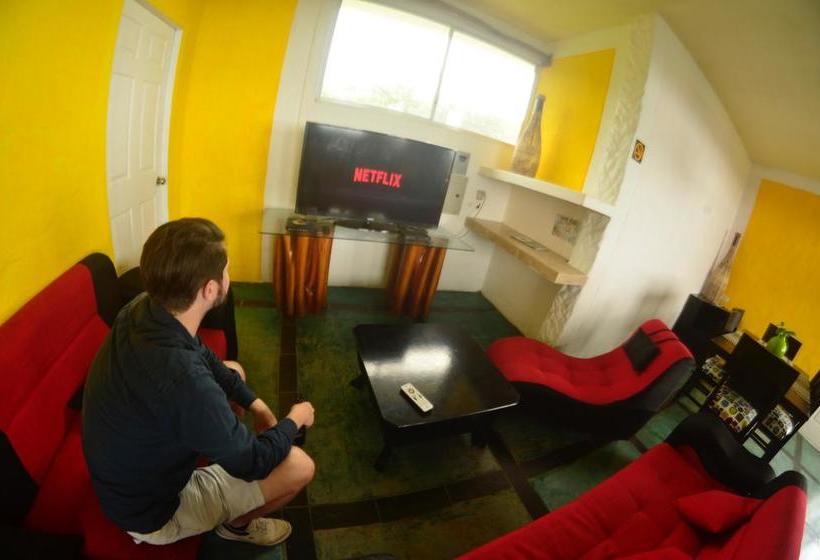 Kiwi Hostel Montanita | Montañita | Santa Elena | Ecuador 8