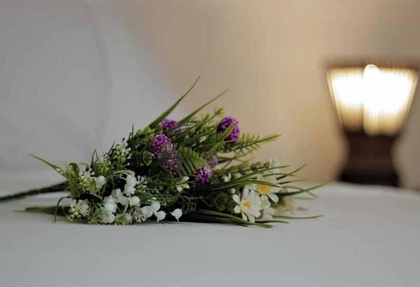 Hotel Las Marianas | Santa Rosa de Cabal | Risaralda | Colombia 10