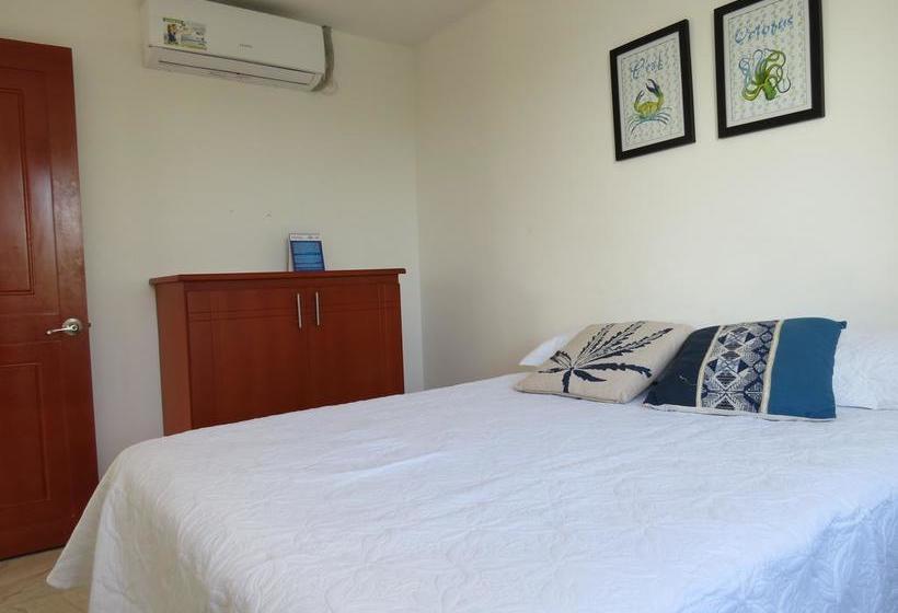 Albergue Zojo Island | San Andrés | San Andres y Providencia | Colombia 4