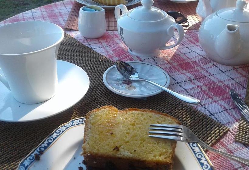 Bed and Breakfast Casa Frida | Piriapolis | Maldonado | Uruguay 18