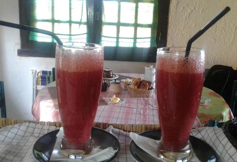 Bed and Breakfast Casa Frida | Piriapolis | Maldonado | Uruguay 4