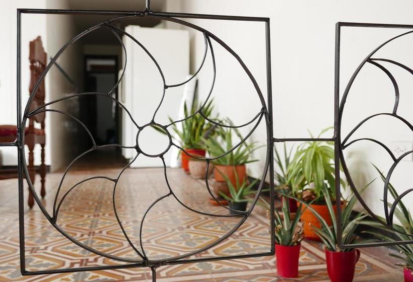 Albergue Havana | Cali | Valle del Cauca | Colombia 5