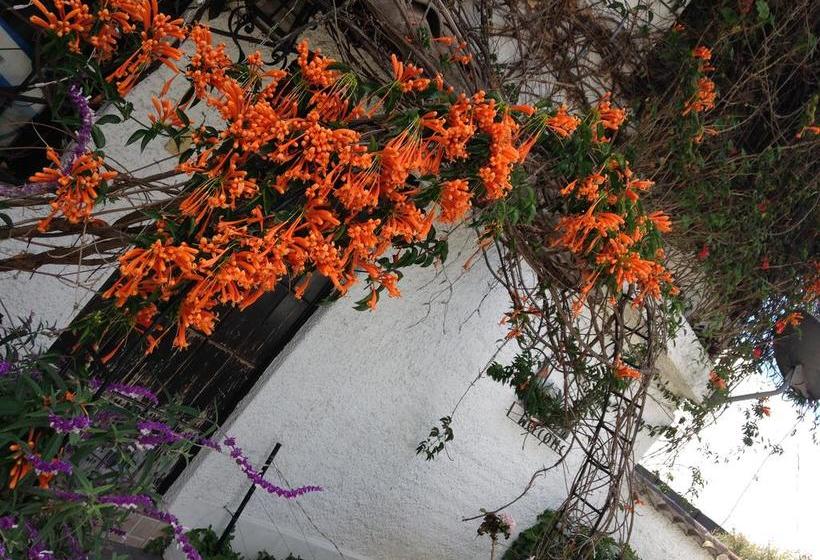 Hotel Mansion Samzara Hosteleria | Sangolqui | Pichincha | Ecuador 3