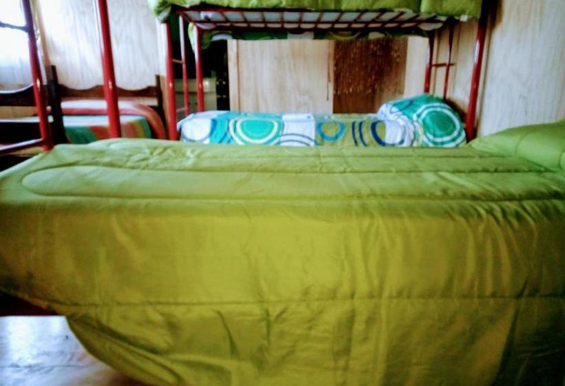 Albergue Huepil Backpackers