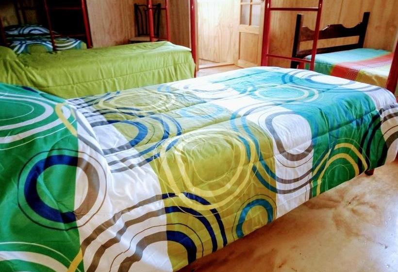 Albergue Huepil Backpackers | Castro | Los Lagos | Chile 1